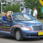 Dollar Dog