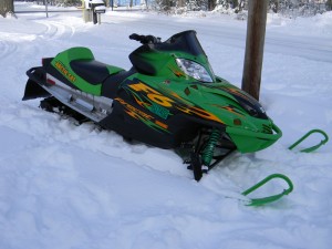 arctic cat